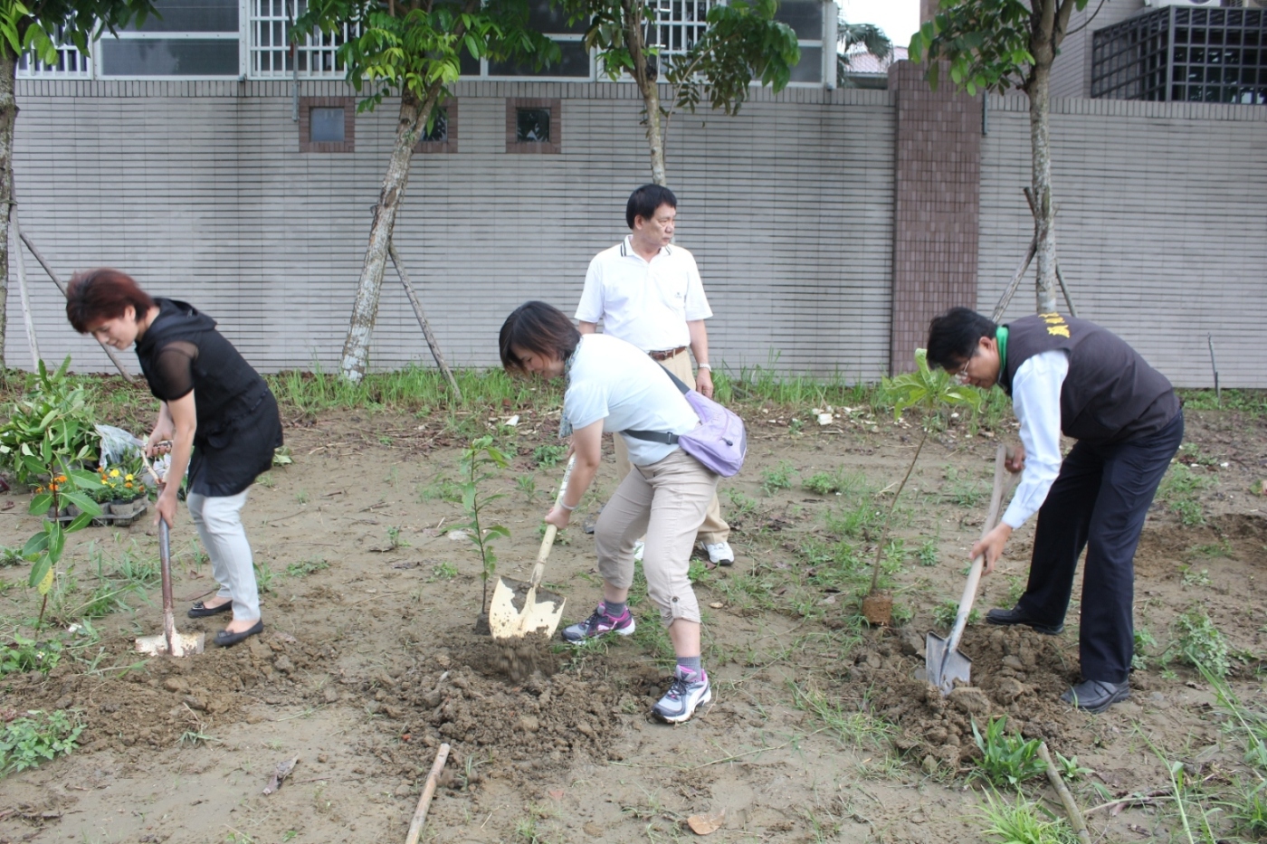 左為港委里里長、中為本會邱慧珠執行長、右為顏純左副市長一同為台灣種下福田。